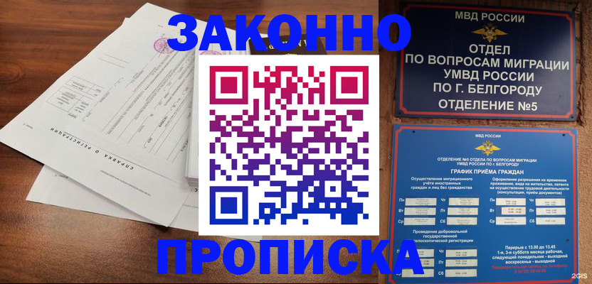 прописка в Павловском Посаде